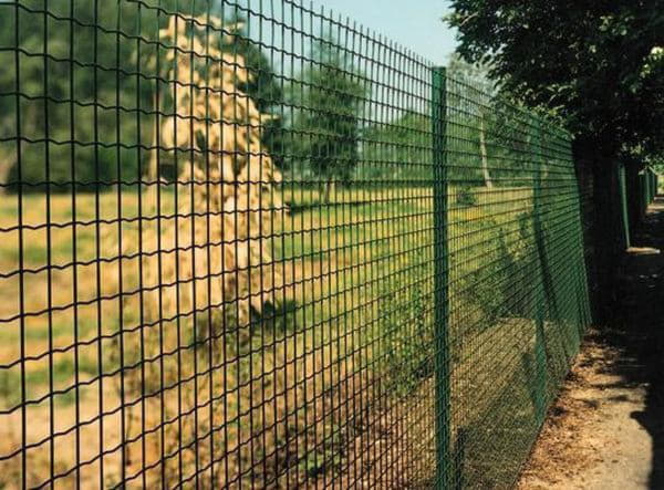 Zavarene mrežaste ograde (42 fotografije): metalna ograda izrađena od .
